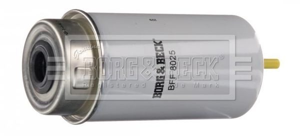 BORG & BECK Degvielas filtrs BFF8025